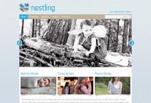 Homepage with large carousel