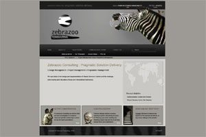 Zebra Zoo Consulting
